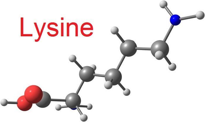 Лизин L-Lysine аминокислота
